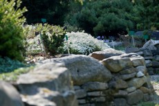 Gartenwelt Gundacker
