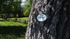 Schlosspark Bad Vöslau