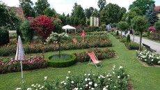 Rosengarten Pitten
