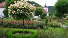 Rosengarten Pitten