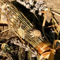 Lavendelstab mit Löwenzahnstängel gewebt