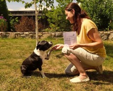 Hund und Besitzerin mit Hundepass