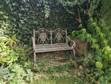 Scherben, Blüten, Blatt und Feder