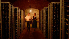 Das Archiv der Vinea Wachau