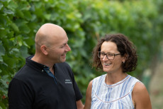 Weinverkostung Weingut Weinlinger