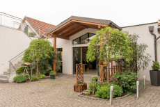 Bioweingut Bauer