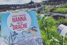 Schatzsuche "Hanna und der Drache"