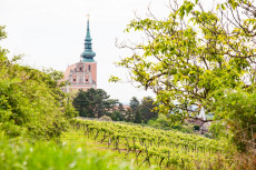 Weinstadt Poysdorf