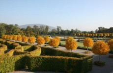 Herbstgartentage auf Schloss Hof