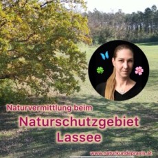 Naturvermittlung Naturschutzgebiet Lassee Angela Dangl
