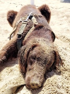Sand am ganzen Körper?
