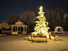 Weihnachten im Stadtpark