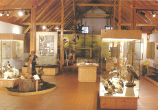 Moormuseum