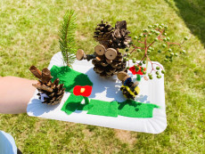 Steffis Naturcamps