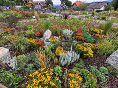 Wildbienengarten Mönichkirchen
