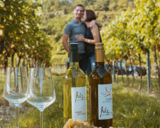 Weinmacherei Fritz