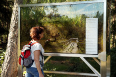 Schaubecken "Moorarium" im Naturpark Heidenreichsteiner Moor