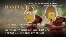 Bambinikino
