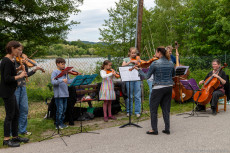 Das war der Art Walk Wienerwaldsee 2025