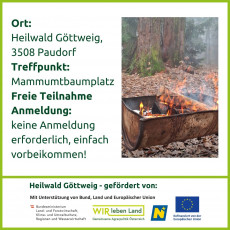 Flyer Seite 3 - Spätherbst im Heilwald