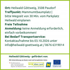 Flyer Seite 3 - Erntedankfeier im Heilwald Göttweig