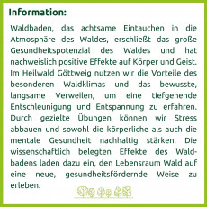 Flyer Seite 2 - Waldbaden und Gesundheit stärken 
