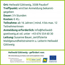 Flyer Seite 3 - Waldbaden und Gesundheit stärken 