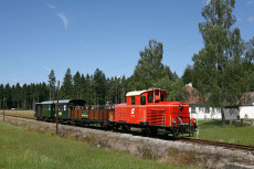 Wackelstein-Express