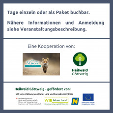 Flyer Seite 3_Kindersommercamp im Heilwald Göttweig