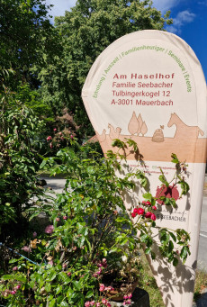 Am Haselhof
