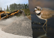 Schotterabbau: Fluch oder Segen?