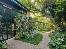 Cottage Garten