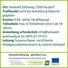 Flyer Seite 3 Nacht unter Bäumen