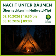 Flyer Seite 1 Nacht unter Bäumen