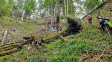 Wildnisgebiet
