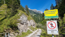 Wildnisgebiet Dürrenstein