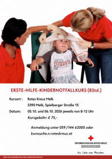 Erste Hilfe Kindernotfallkurs