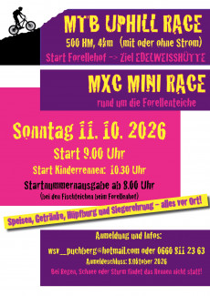 WSV Puchberg