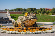 Froschkönig Schloss Hof