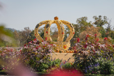 Kürbiskrone