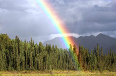 Regenbogen