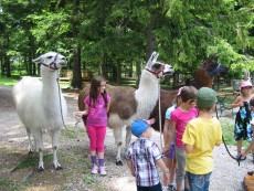 Kindergeburtstag Lamawanderung