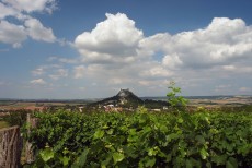 Burgruine Staatz